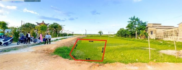 Giá bán thỏa thuận chỉ 560 triệu bán đất diện tích chung 158m2 vị trí thuận lợi nằm trên Quảng Lợi, Quảng Điền, hướng Tây Nam-03