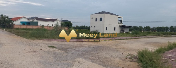 Vị trí đẹp tọa lạc ở Quỳnh Dị, Hoàng Mai bán đất giá thương lượng 1.67 tỷ dt dài 156 m2-02