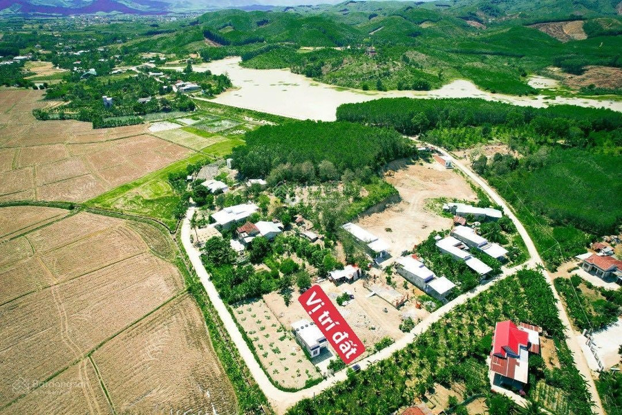 Bán đất tại Diên Khánh, Khánh Hòa. Diện tích 413m2-01