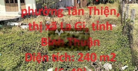 Bán mảnh đất, giá bán tốt bất ngờ 2 tỷ diện tích thực dài 240m2-03