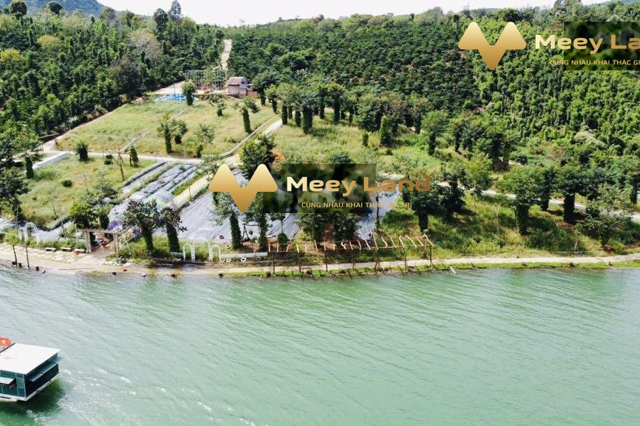 Tân Nghĩa, Lâm Đồng 45 tỷ, bán đất 20000 m2-01