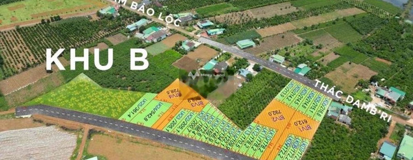 923.8 triệu bán đất diện tích rất rộng 124m2 tọa lạc ở Đạm Bri, Lâm Đồng-03