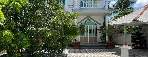 Bán 1040m2 nhà và đất giá rẻ Phú Tân, Bến Tre-03