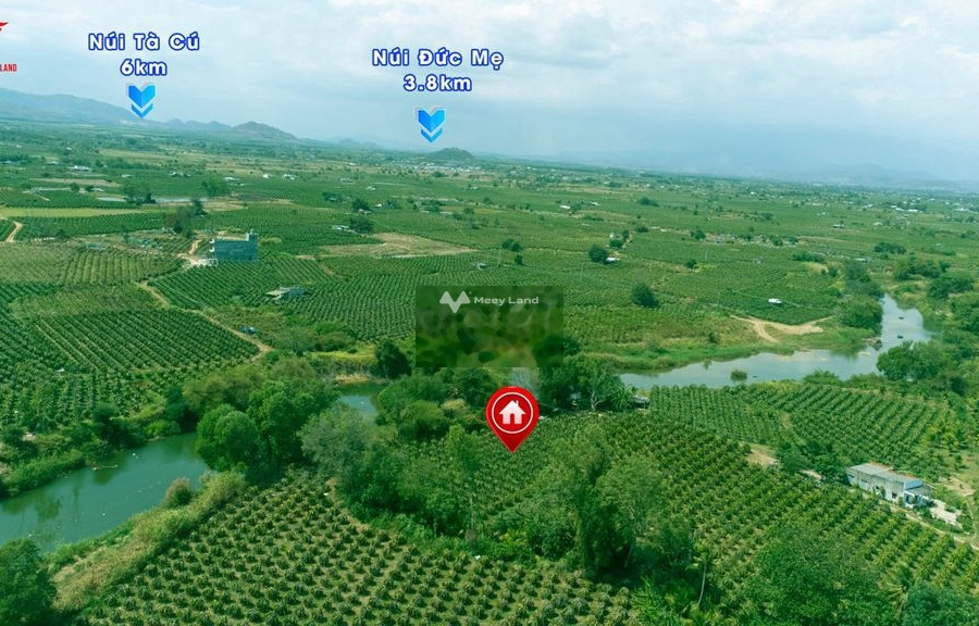 1.6 tỷ bán đất diện tích rộng 2034m2 vị trí đẹp ở Hàm Thuận Nam, Bình Thuận, hướng Tây Nam-01