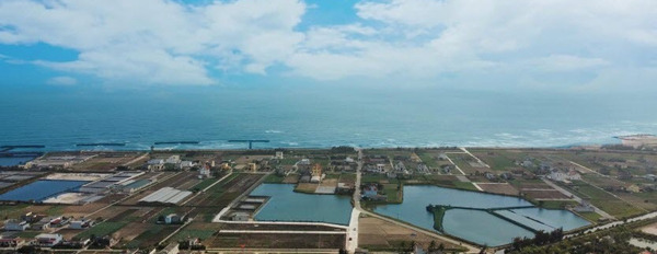 Bán nhanh 980 triệu/lô đất nền biệt thự mặt biển Quất Lâm, ven hồ Liên Phong-03