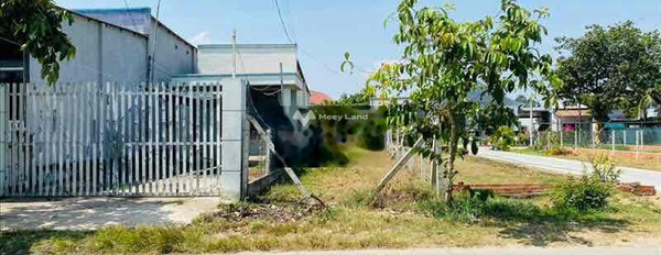 Ngay Bảo Lộc, Lâm Đồng bán đất 222 triệu diện tích thực dài 177m2-03