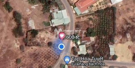 Vị trí ngay tại Hàm Hiệp, Bình Thuận bán đất giá bất ngờ 5 tỷ có diện tích thực là 600m2-03