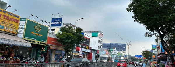 Có diện tích chung 80m2 bán nhà vị trí nằm trên Nguyễn Oanh, Hồ Chí Minh lh xem trực tiếp-03