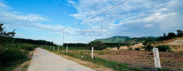 Khánh Vĩnh, Khánh Hòa 496 triệu bán đất diện tích là 4128m2-03