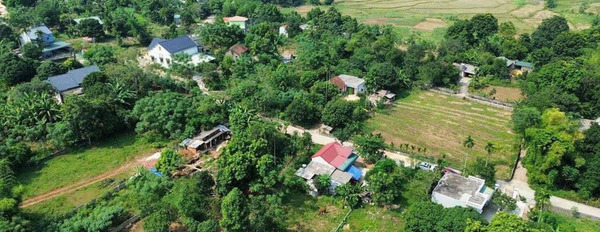 Cần bán đất thành phố Biên Hòa, Đồng Nai giá 1 tỷ-02