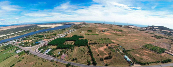Bán đất 1.5 tỷ Hòa Thắng, Bình Thuận diện tích rộng lớn 3010m2-03
