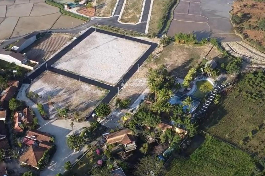 Vị trí tiện lợi Lâm Hà, Lâm Đồng bán đất, giá êm 1.83 tỷ diện tích trong khoảng 168m2-01