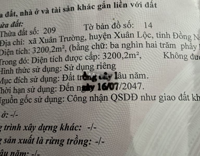 Khoảng từ 1.05 tỷ bán đất diện tích khoảng là 3200m2 mặt tiền tọa lạc ở Xuân Trường, Xuân Lộc-01