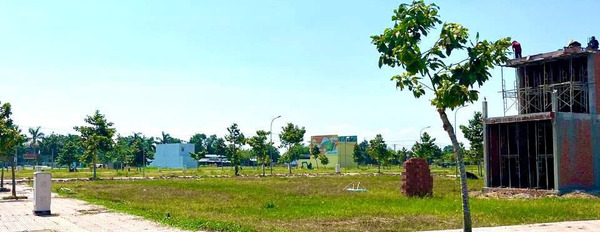Bán đất Chú Đạt Trung tâm thị trấn Thủ Thừa 100m2-02