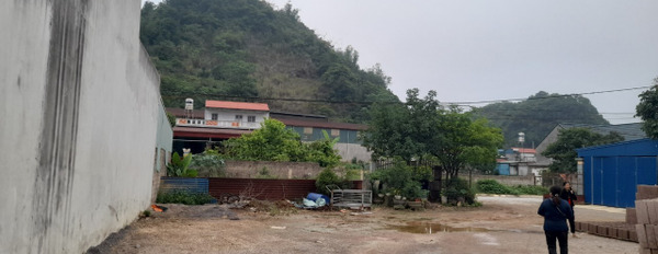 Bán đất tại tiểu khu 32 thị trấn nông trường Mộc Châu, Sơn La. Diện tích 1800m2, giá 18,181 tỷ-03