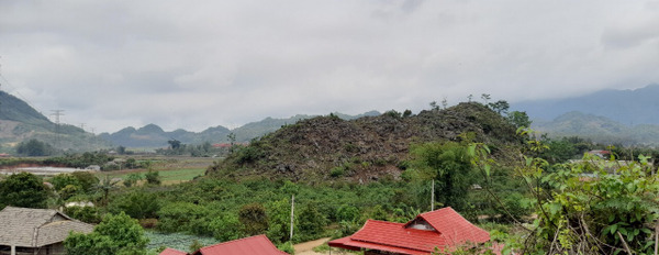 Đông Sang, Môc Châu, diện tích 1500m2, thích hợp làm khách sạn-03