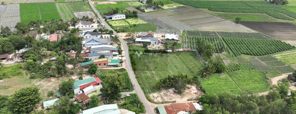 Giá bán khủng 350 triệu bán đất diện tích tổng là 175m2 vị trí ở Tiên Thuận, Tây Ninh-02