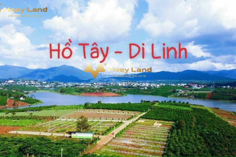 Bán đất tại Ngô Quyền, Di Linh, Lâm Đồng. Diện tích 300m2, giá 390 triệu-01