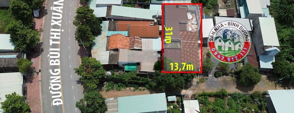 Giảm 2,7tỷ bán gấp đất +nhà cũ đường Bùi Thị Xuân gần UBP Tân Bình -03