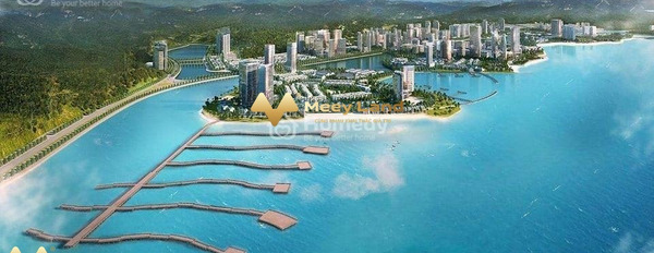 Bán biệt thự tổng diện tích là 213 m2 ngay Hùng Thắng, Quảng Ninh-03