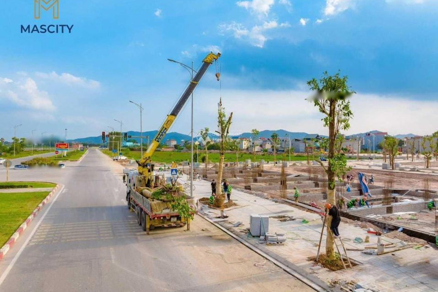 Bán đất diện tích 86m2 tại Tân Tiến, Bắc Giang-01