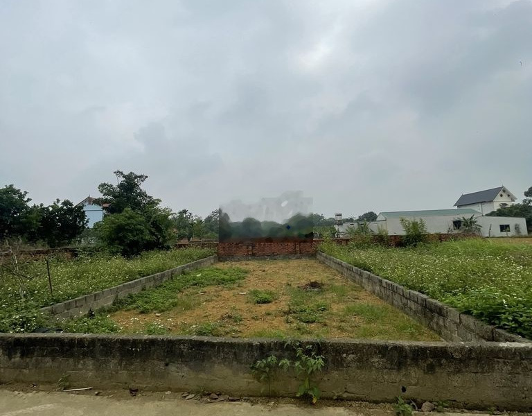 Cần bán lô đất siêu đẹp tại Phú Cát, Quốc Oai, 155m2, mặt tiền gần 10m -01