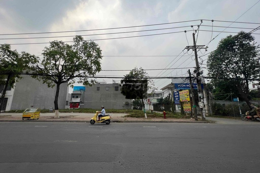 Kẹt tiền bán gấp 1.000m2 đất ngay trong khu dân cư phường Tân Hạnh -01
