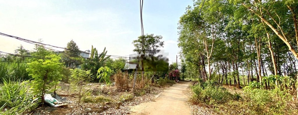 Giá 195 triệu bán đất diện tích chính là 274m2 vị trí tốt ở Lộc Ninh, Bình Phước-03