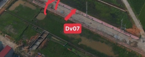 Bán đất Đồng Cái Ngang, Hợp Thịnh, Tam Dương 100m2, giá 1,7 tỷ-03