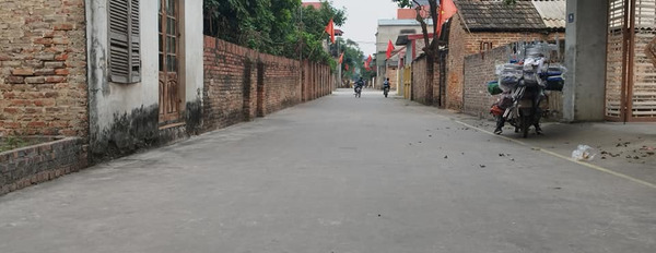 Diện tích 50m2, đường 6m 2 ô tô tránh nhau tại Quang Tiến, Sóc Sơn, Hà Nội-03