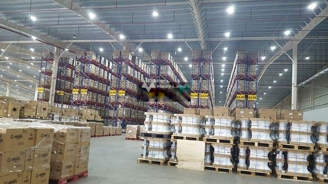 Cho thuê kho xưởng 15.000m2 KCN Tân Đức, Đức Hòa, Long An, giá rẻ nhất -01