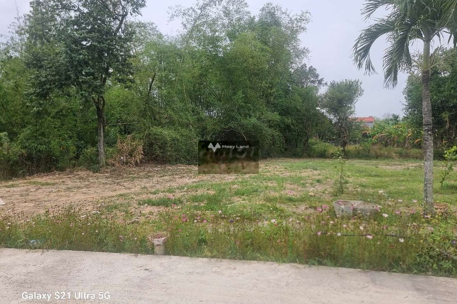 Hòa Vang, Đà Nẵng bán đất giá bán mong muốn chỉ 880 triệu, hướng Đông Nam với diện tích khoảng 121m2-01