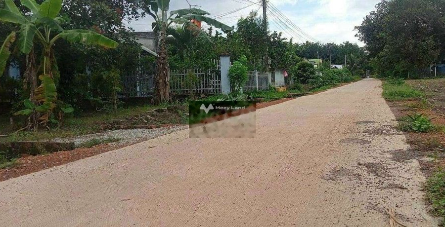 Bán đất diện tích rộng 200m2 Dầu Tiếng, Bình Dương-01