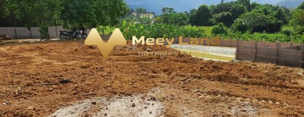 Bán đất tại Tiến Xuân, Thạch Thất, Hà Nội. Diện tích 1700m2, giá thương lượng-03