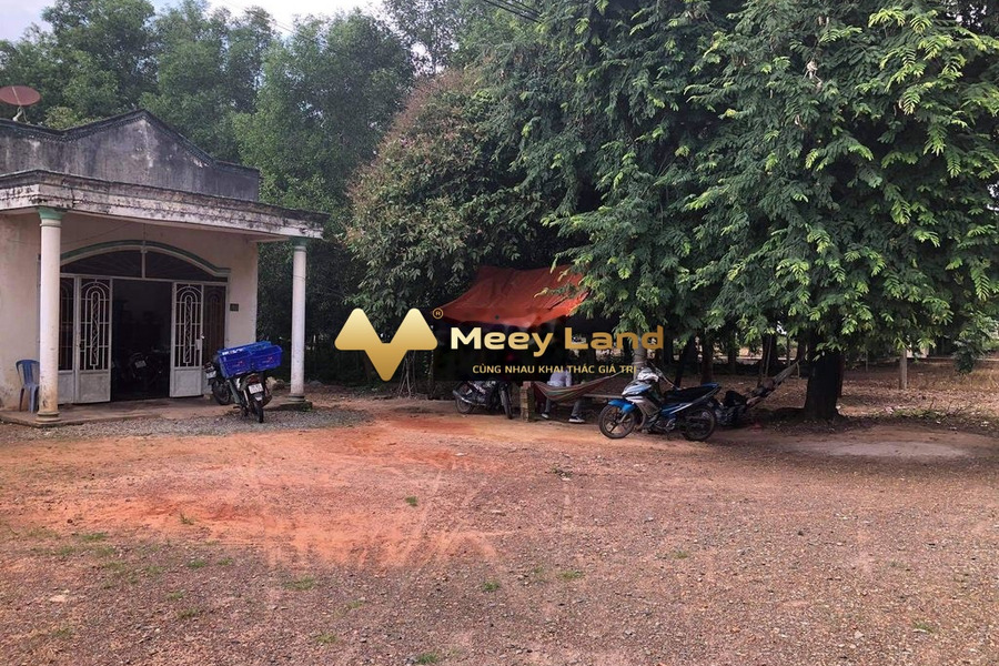 Gia đình đang cần vốn bán mảnh đất, 1000 m2 giá mua liền 2.1 tỷ vị trí thuận lợi nằm trên Đường Nguyễn Văn Linh, Thị Trấn Tân Biên pháp lý nhanh-01