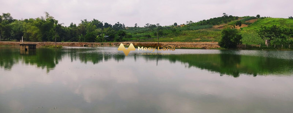 Bán đất tại Cao Phong, Hòa Bình. Diện tích 4200m2, giá 3,4 tỷ-03
