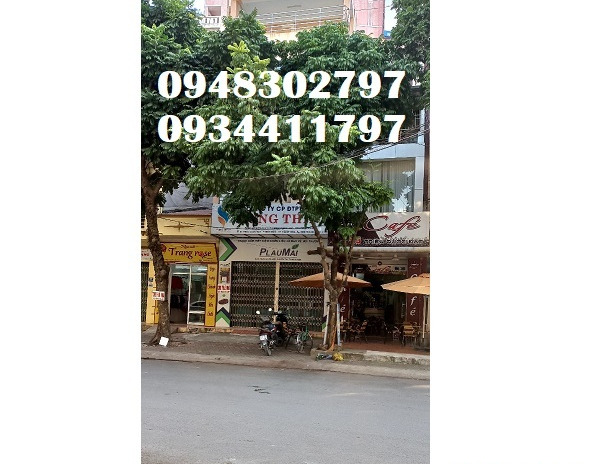 Chính chủ cho thuê nhà tại 51 Triệu Quốc Đạt, phường Điện Biên