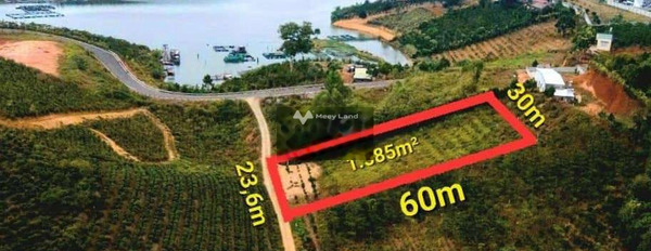 Có vấn đề về tài chính bán mảnh đất, 1585m2 giá đặc biệt 3.4 tỷ vị trí đẹp tọa lạc ở Bảo Lộc, Lâm Đồng, hướng Đông Nam khu vực đông đúc-03