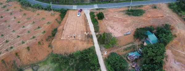 Cát Tiên, Lâm Đồng 100 triệu bán đất, hướng Đông Nam diện tích rộng 14651m2-02