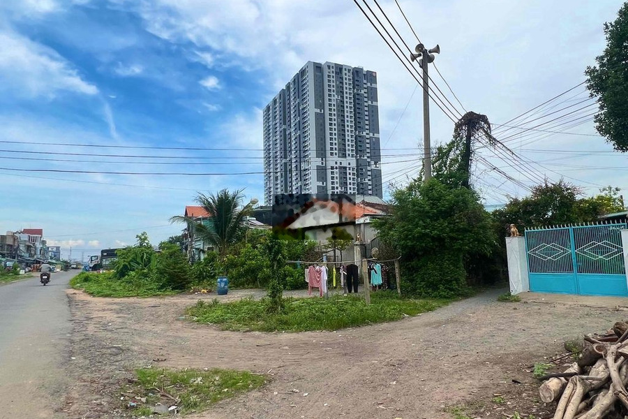 200m2 50m thổ cư, 190tr bao sang tên công chứng -01