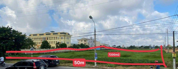 Chính chủ bán đất thương mại dịch vụ, diện tích 7253m2 mặt đường lớn thị trấn Đồng Ngô, Giao Thuỷ-02