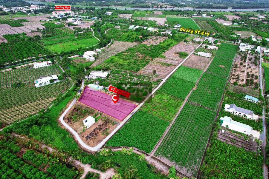 Hàng Vip - 1000m Đất Vườn 2MT View Kênh Cho Chuyển Full Thổ -01