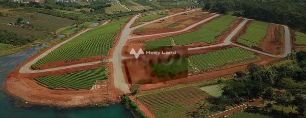 Mặt tiền nằm ngay trên Đam Rông, Lâm Đồng bán đất, giá bán hấp dẫn chỉ 350 triệu diện tích chuẩn là 200m2-02