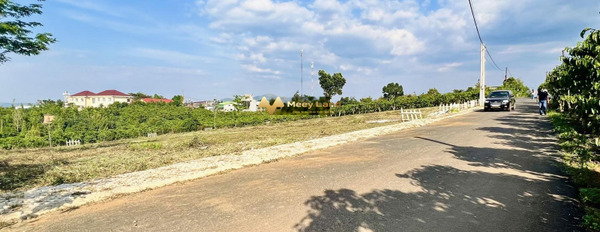 Bán đất vị trí đặt tọa lạc ở Lộc An, Bảo Lâm-02