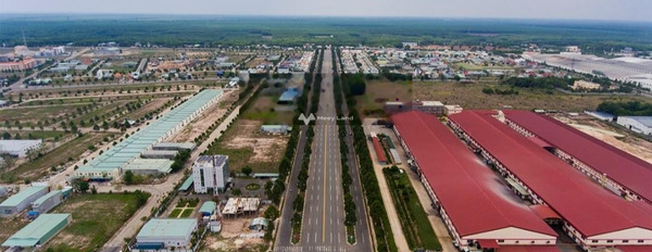 Chính chủ tôi bán đất Lộc Tấn, Lộc Ninh giá đặc biệt chỉ 439 triệu diện tích dài 1030m2-02