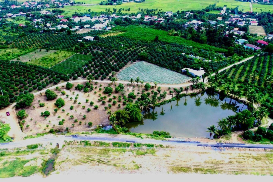 Suối Tiên, Khánh Hòa 429 triệu bán đất, hướng Bắc với diện tích rộng 550m2-01