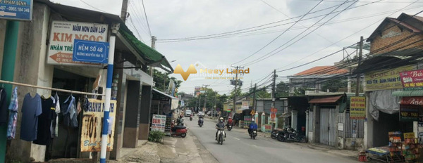 Vị trí đẹp ngay trên Đường Võ Thị Sáu, Tỉnh Đồng Nai bán đất, giá bán siêu rẻ từ 2.5 tỷ dt chính là 95 m2-02