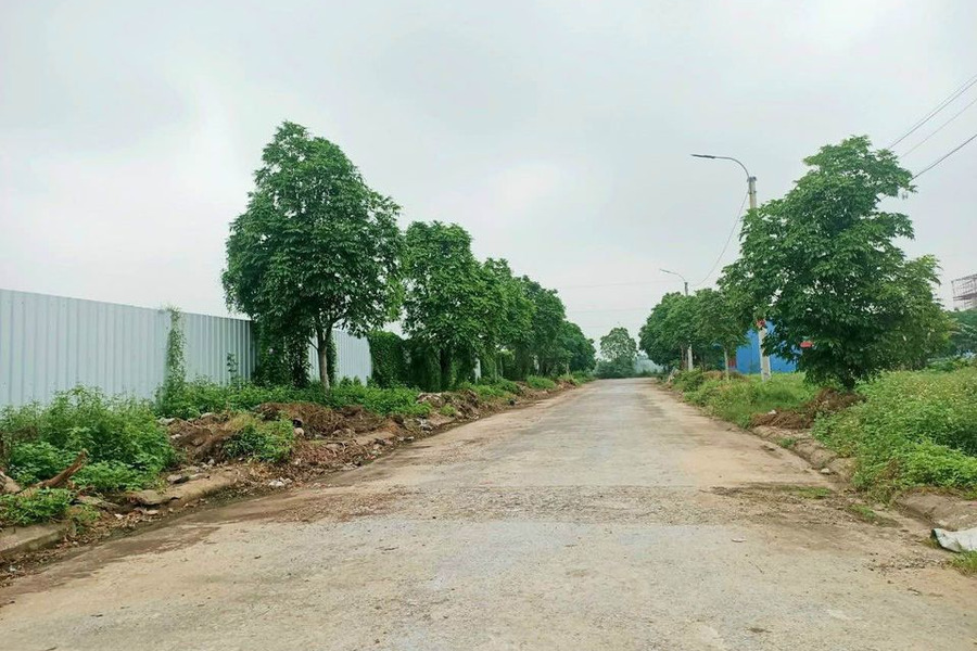 Bán đất huyện Quan Hóa diện tích 73,15m2-01