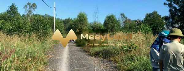 Bán 110m2 đất xã Vĩnh Tân, tỉnh Đồng Nai, giá 199 triệu-02