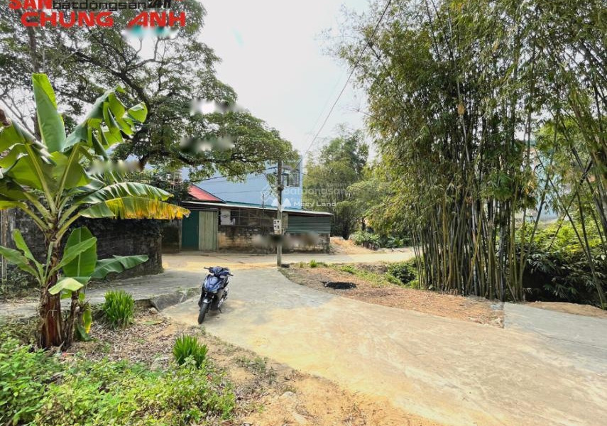 Cần bán đất vị trí đẹp tọa lạc ngay tại Hạ Long, Quảng Ninh. Diện tích 143m2-01